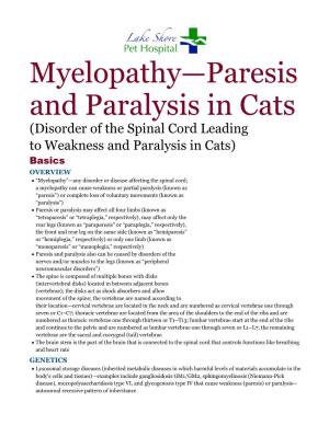 Myelopathy—Paresis and Paralysis in Cats