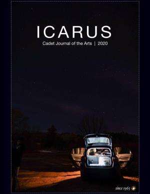 View Icarus 2020