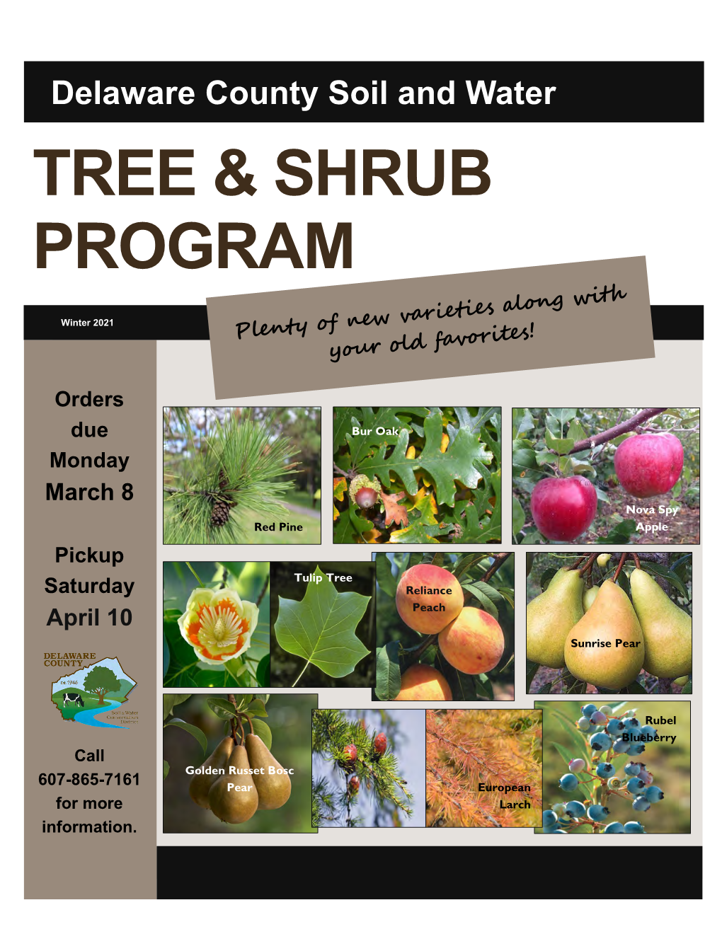 Tree & Shrub Program