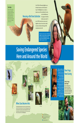 Saving Endangered Species Here and Around the World