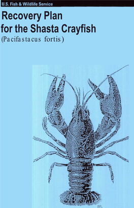Recovery Plan for the Shasta Crayfish (Pacifastacus Fortis) RECOVERY PLAN