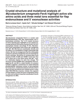 Mycobacterium Smegmatis Fena Highlight Active Site