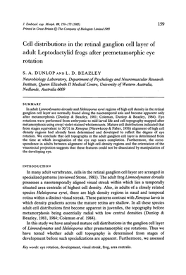 Cell Distributions in the Retinal Ganglion Cell Layer of Adult Leptodactylid Frogs After Premetamorphic Eye Rotation