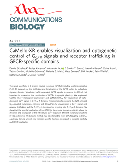 Camello-XR Enables Visualization and Optogenetic Control of Gq/11 Signals and Receptor Trafﬁcking in GPCR-Speciﬁc Domains