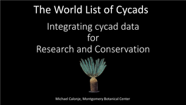 Cycad Specialist Group Website