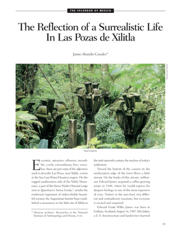 The Reflection of a Surrealistic Life in Las Pozas De Xilitla