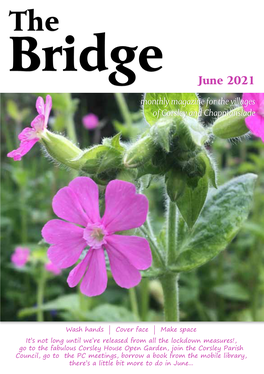 The Bridge June 2021
