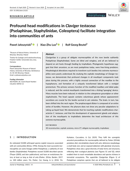 Profound Head Modifications in Claviger Testaceus (Pselaphinae, Staphylinidae, Coleoptera) Facilitate Integration Into Communities of Ants