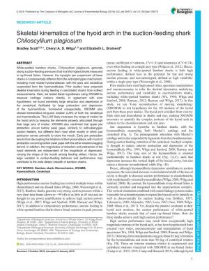 Skeletal Kinematics of the Hyoid Arch in the Suction-Feeding Shark Chiloscyllium Plagiosum Bradley Scott1,2,*, Cheryl A