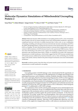 Molecular Dynamics Simulations of Mitochondrial Uncoupling Protein 2