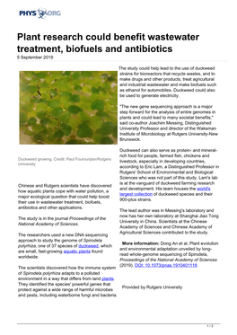 Plant Research Could Benefit Wastewater Treatment, Biofuels and Antibiotics 5 September 2019