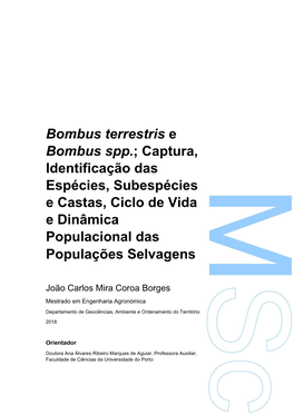 Bombus Terrestris E Bombus Spp.; Captura, Identificação Das Espécies