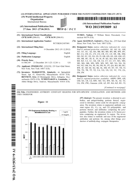 WO 2013/093809 Al 27 June 2013 (27.06.2013) P O P C T