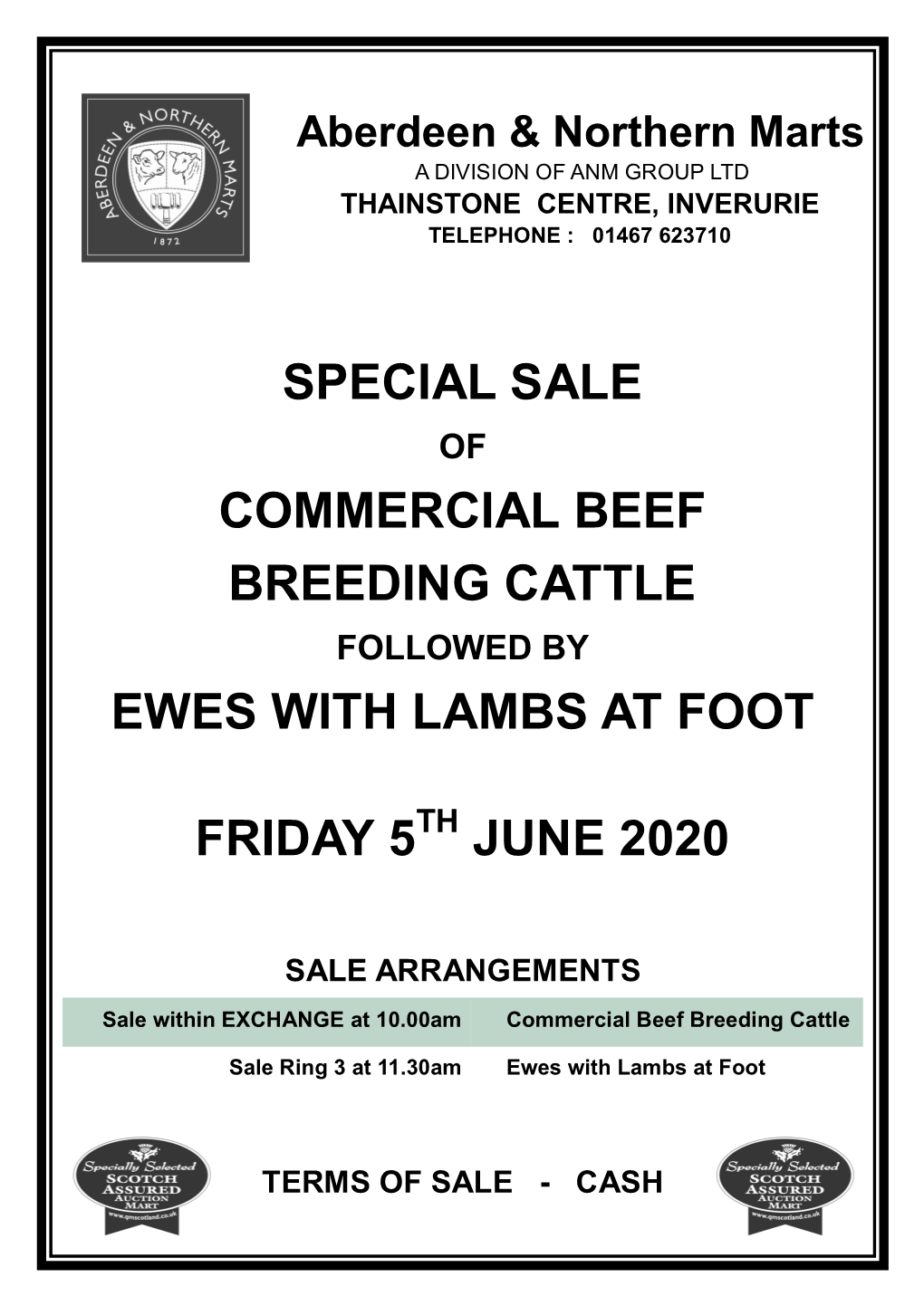 Special Sale Commercial Beef Breeding Cattle Ewes With