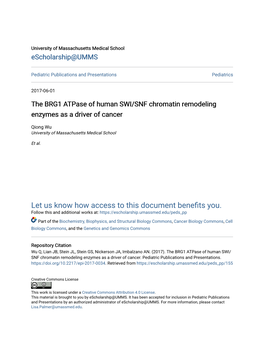 The BRG1 Atpase of Human SWI/SNF Chromatin Remodeling Enzymes As a Driver of Cancer