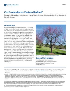 Cercis Canadensis: Eastern Redbud1 Edward F
