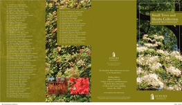 Shrub Brochure