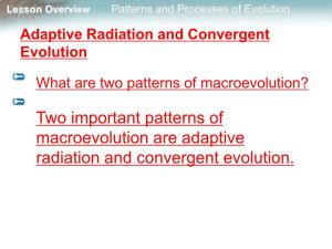 Two Important Patterns of Macroevolution Are Adaptive Radiation and Convergent Evolution. Lesson Overview Patterns and Processes of Evolution