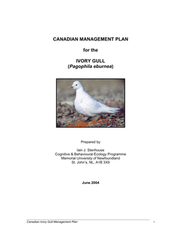 Canadian Management Plan for the Ivory Gull (Pagophila Eburnea)