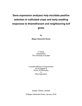 Gene Expression Analyses Help Elucidate Positive Selection in Cultivated Crops and Early Seedling Responses to Thiamethoxam and Neighbouring Turf Grass