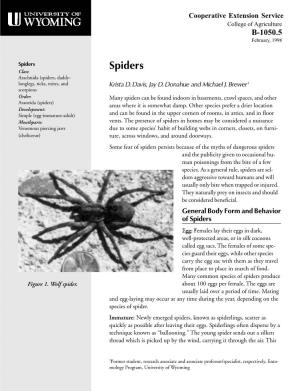 Spiders Spiders Class: Arachnida (Spiders, Daddy- Longlegs, Ticks, Mites, and Krista D