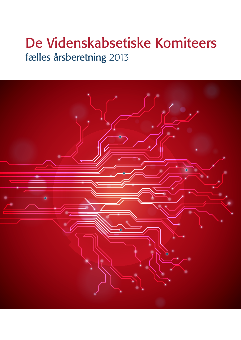 De Videnskabsetiske Komiteers Fælles Årsberetning 2013 Appendiks