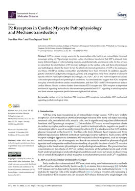 P2 Receptors in Cardiac Myocyte Pathophysiology and Mechanotransduction