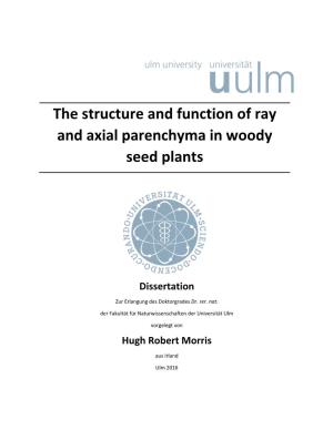 The Structure and Function of Ray and Axial Parenchyma in Woody Seed Plants