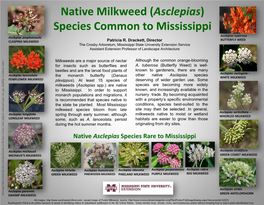Native Milkweed (Asclepias) Species Common to Mississippi Asclepias Tuberosa Asclepias Amplexicaulis BUTTERFLY WEED CLASPING MILKWEED Patricia R
