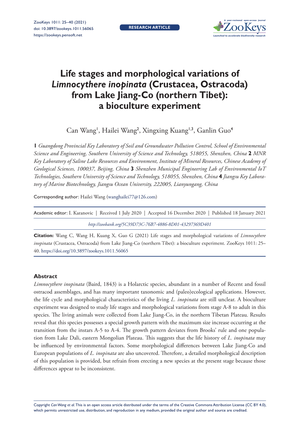 ﻿Life Stages and Morphological Variations of Limnocythere