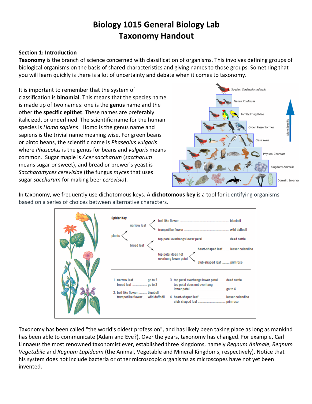 Biology 1015 General Biology Lab Taxonomy Handout