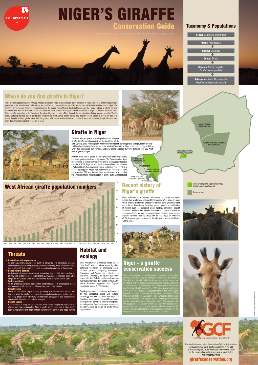 Niger's Giraffe – Conservation Guide