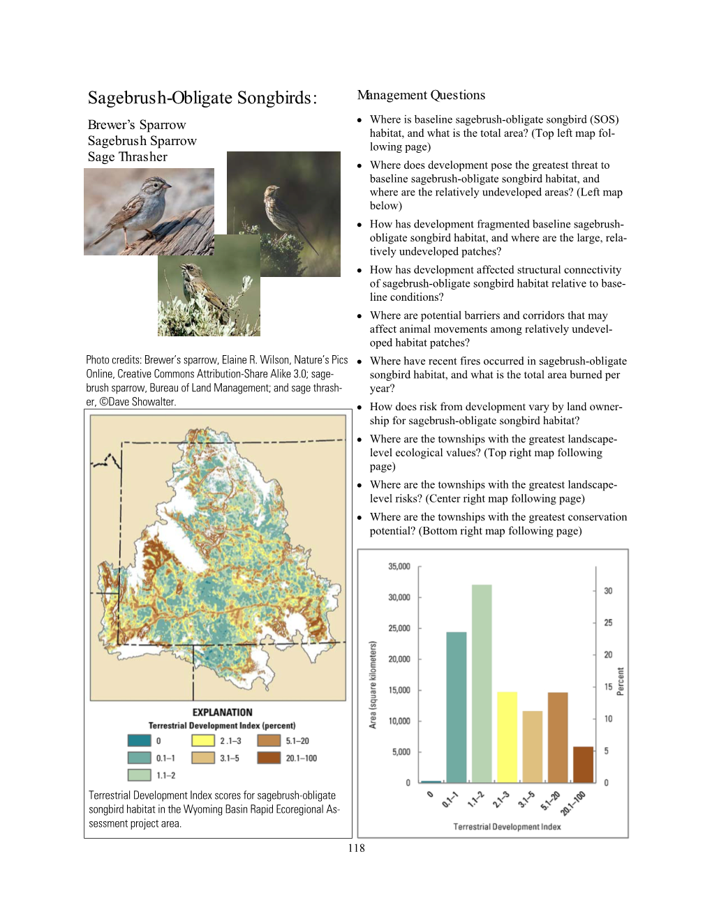 Sagebrush-Obligate Songbirds