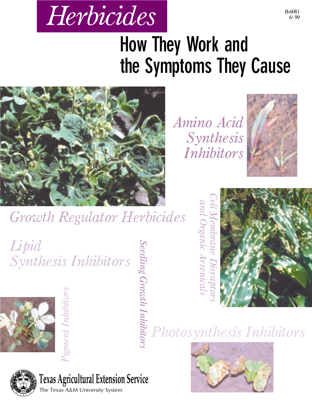 Herbicides 6/99 How They Work and the Symptoms They Cause