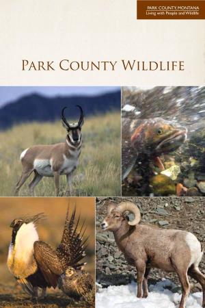 Park County Wildlife