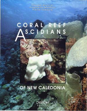 CORAL REEF ASCIDIANS of NEW CALEDONIA Fabrication Et Coordination: Catherine Guedj, 8Evislon Du Texre Anglats Liz Ct Todd Newberrv
