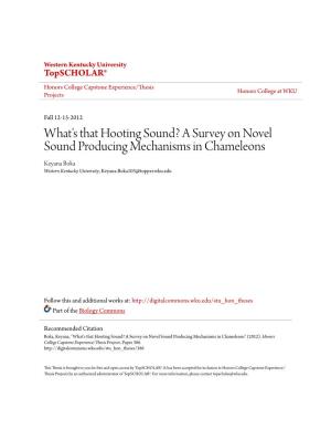A Survey on Novel Sound Producing Mechanisms in Chameleons Keyana Boka Western Kentucky University, Keyana.Boka103@Topper.Wku.Edu