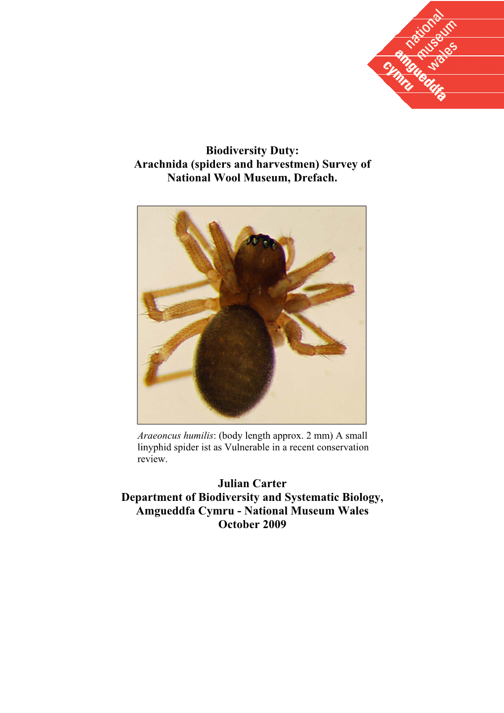 Biodiversity Duty: Arachnida (Spiders and Harvestmen) Survey of National Wool Museum, Drefach