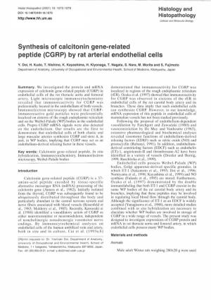 Synthesis of Calcitonin Gene-Related Peptide (CGRP) by Rat Arterial Endothelial Cells