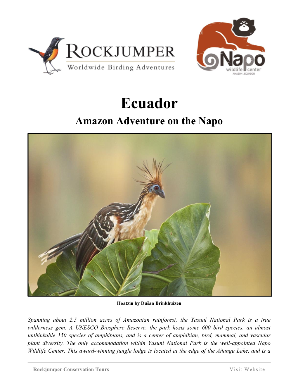 Ecuador Amazon Adventure on the Napo