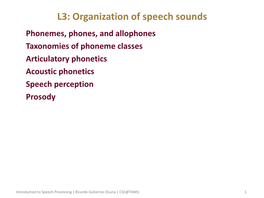 L3: Organization of Speech Sounds