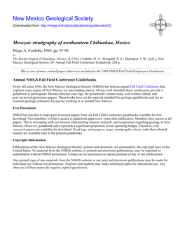 Mesozoic Stratigraphy of Northeastern Chihuahua, Mexico Diego A