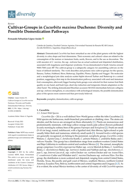 Cultivar-Groups in Cucurbita Maxima Duchesne: Diversity and Possible Domestication Pathways