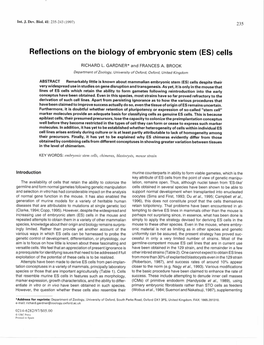 Reflections on the Biology of Embryonic Stem (ES) Cells