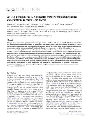 In Vivo Exposure to 17Β-Estradiol Triggers Premature Sperm