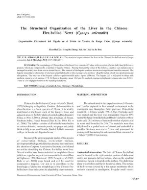 The Structural Organization of the Liver in the Chinese Fire-Bellied Newt (Cynops Orientalis)