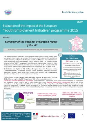 "Youth Employment Initiative" Programme 2015