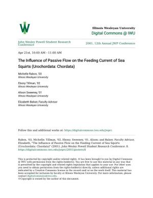 The Influence of Passive Flow on the Feeding Current of Sea Squirts