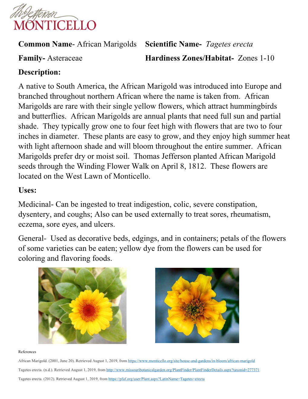 African Marigolds Scientific Name- Tagetes Erecta Family