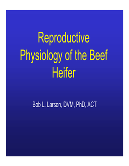 Reproductive Physiology of the Beef Heifer